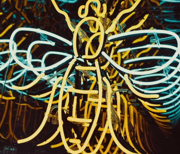 create a buzz